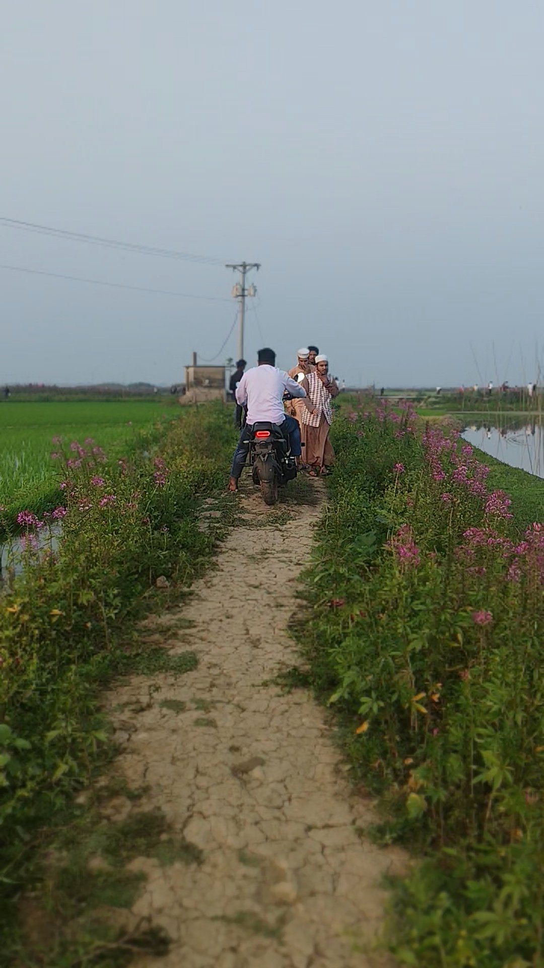 Visiting a recently viral place on social media