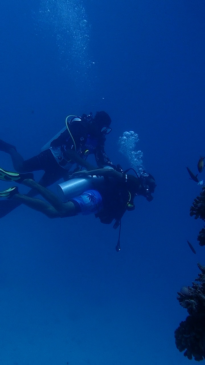 Scuba Diving in Maldives 